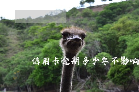 信用卡逾期多少年不影响房贷 信用卡逾期多少年不影响房贷