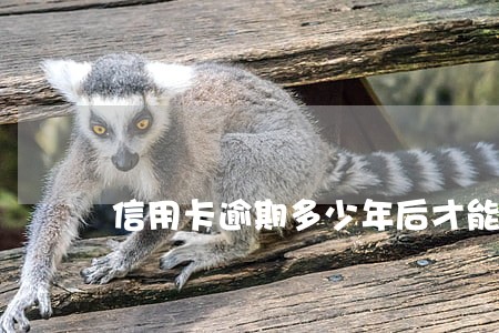 信用卡逾期多少年后才能买房 信用卡逾期多少年后才能买房