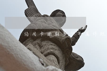 信用卡逾期多少年属坏账 信用卡逾期多少年属坏账
