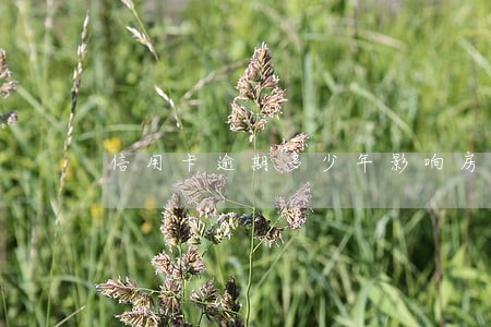 信用卡逾期多少年影响房贷 信用卡逾期多少年影响房贷
