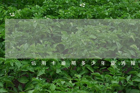 信用卡逾期多少年能消除 信用卡逾期多少年能消除