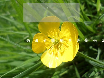 信用卡逾期多少影响征信记录