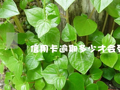 信用卡逾期多少才会列入失信名单
