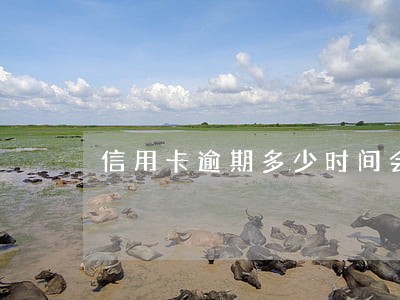 信用卡逾期多少时间会影响征信 信用卡逾期多少时间会影响征信
