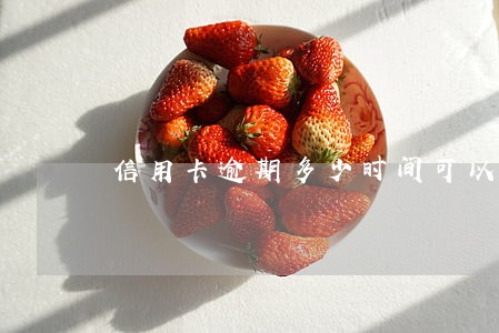 信用卡逾期多少时间可以起诉 信用卡逾期多少时间可以起诉