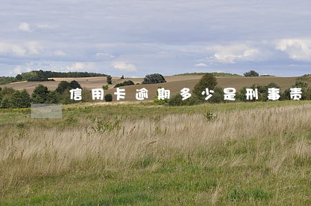 信用卡逾期多少是刑事责任 信用卡逾期多少是刑事责任