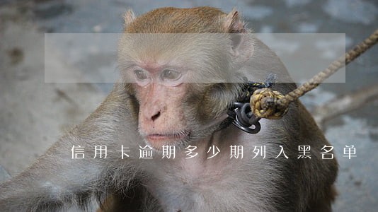 信用卡逾期多少期列入黑名单