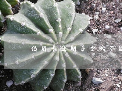 信用卡逾期多少次不能买房 信用卡逾期多少次不能买房
