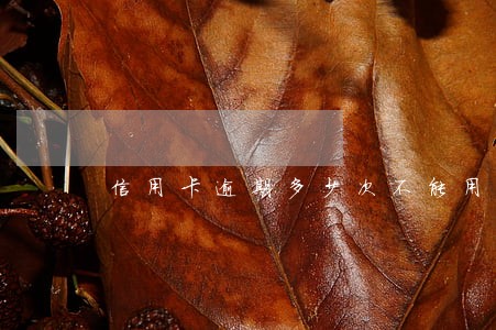 信用卡逾期多少次不能用了