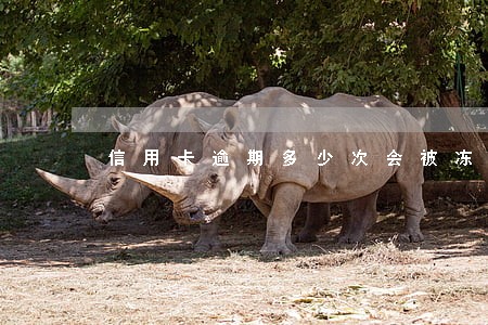 信用卡逾期多少次会被冻结 信用卡逾期多少次会被冻结