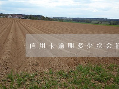 信用卡逾期多少次会被列入黑名单 信用卡逾期多少次会被列入黑名单
