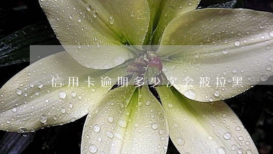 信用卡逾期多少次会被拉黑 信用卡逾期多少次会被拉黑