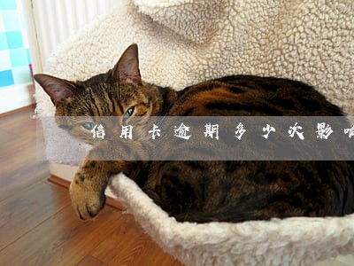 信用卡逾期多少次影响贷款
