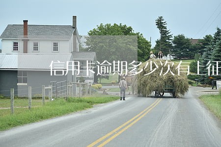 信用卡逾期多少次有上征信