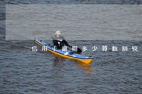 信用卡逾期多少算数额较大 信用卡逾期多少算数额较大