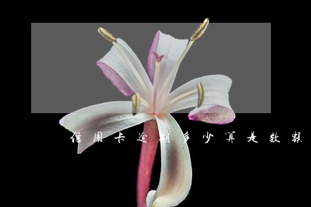 信用卡逾期多少算是数额巨大 信用卡逾期多少算是数额巨大