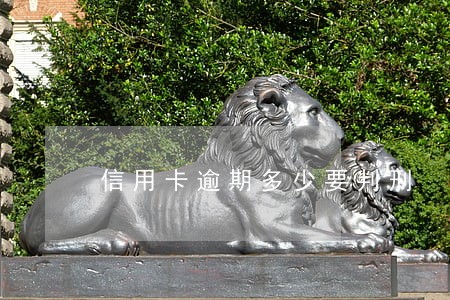 信用卡逾期多少要判刑 信用卡逾期多少要判刑