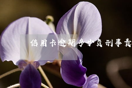 信用卡逾期多少负刑事责任