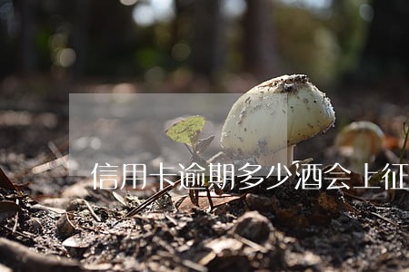 信用卡逾期多少酒会上征信 信用卡逾期多少酒会上征信