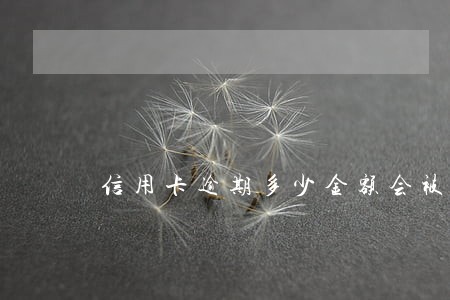 信用卡逾期多少金额会被限行 信用卡逾期多少金额会被限行
