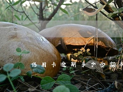 信用卡逾期多少金额构成犯罪
