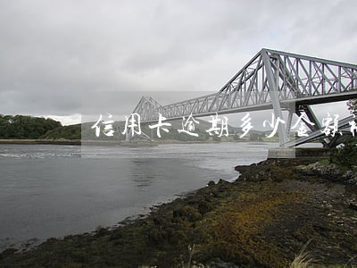 信用卡逾期多少金额被立案 信用卡逾期多少金额被立案
