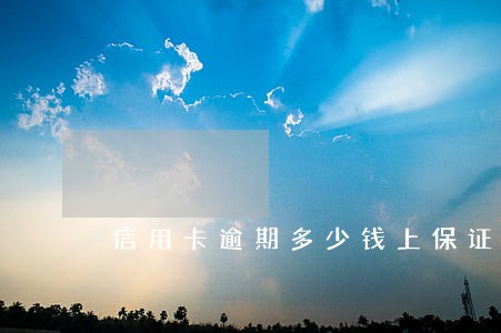 信用卡逾期多少钱上保证征信 信用卡逾期多少钱上保证征信