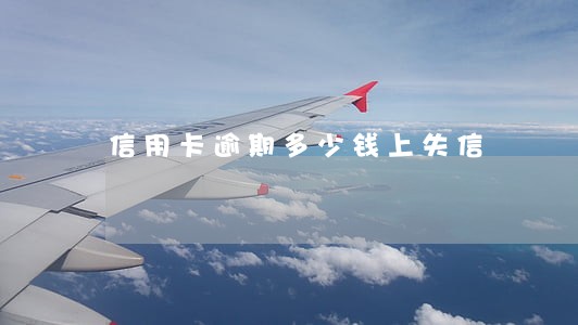信用卡逾期多少钱上失信 信用卡逾期多少钱上失信