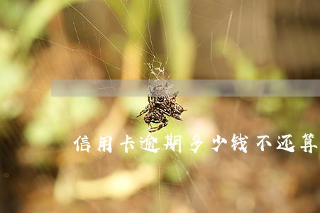信用卡逾期多少钱不还算网逃 信用卡逾期多少钱不还算网逃