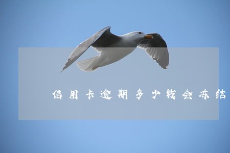 信用卡逾期多少钱会冻结名下资产 信用卡逾期多少钱会冻结名下资产