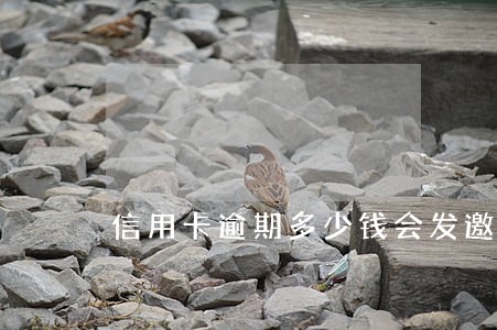 信用卡逾期多少钱会发邀请函 信用卡逾期多少钱会发邀请函