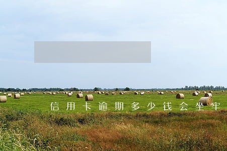 信用卡逾期多少钱会坐牢 信用卡逾期多少钱会坐牢