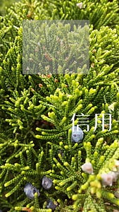 信用卡逾期多少钱会坐牢吗 信用卡逾期多少钱会坐牢吗
