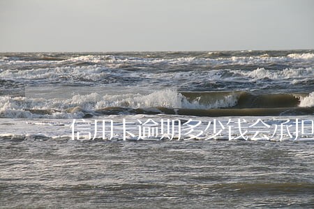 信用卡逾期多少钱会承担刑事责任 信用卡逾期多少钱会承担刑事责任
