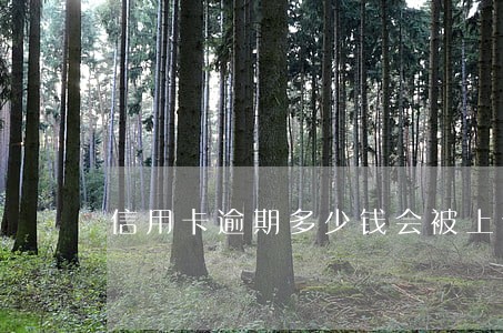 信用卡逾期多少钱会被上诉 信用卡逾期多少钱会被上诉