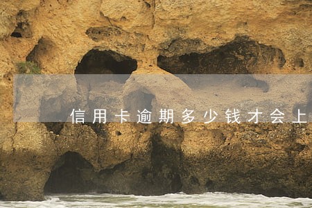 信用卡逾期多少钱才会上失信名单 信用卡逾期多少钱才会上失信名单