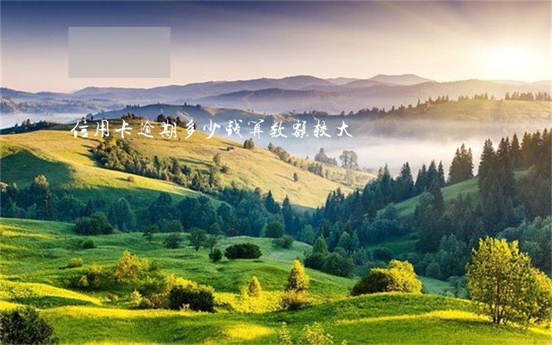 信用卡逾期多少钱算数额较大