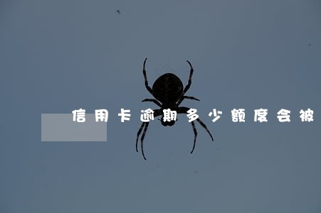信用卡逾期多少额度会被诉讼 信用卡逾期多少额度会被诉讼