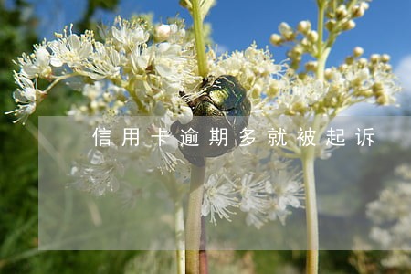信用卡逾期多就被起诉 信用卡逾期多就被起诉