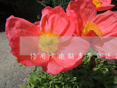 信用卡逾期多年后还上