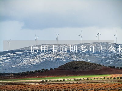 信用卡逾期多年怎么协商本金分期 信用卡逾期多年怎么协商本金分期