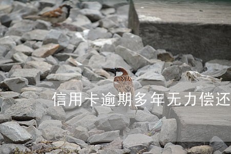 信用卡逾期多年无力偿还 信用卡逾期多年无力偿还