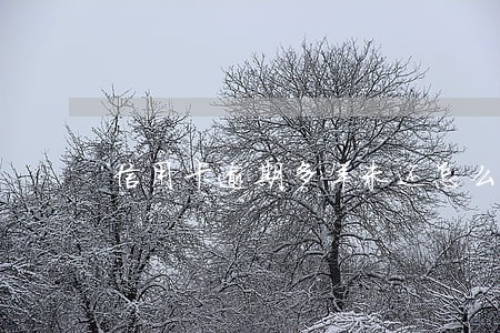信用卡逾期多年未还怎么办