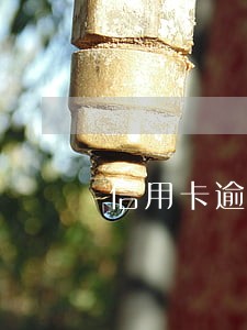 信用卡逾期多年要到哪里去还款 信用卡逾期多年要到哪里去还款