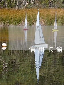 信用卡逾期多年还清后多久能恢复