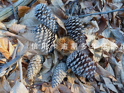 信用卡逾期多年还能坐飞机吗 信用卡逾期多年还能坐飞机吗