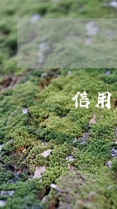 信用卡逾期多年银行责任 信用卡逾期多年银行责任