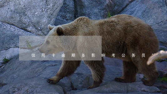 信用卡逾期多影响考公务员 信用卡逾期多影响考公务员