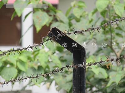 信用卡逾期多征信于逾期 信用卡逾期多征信于逾期