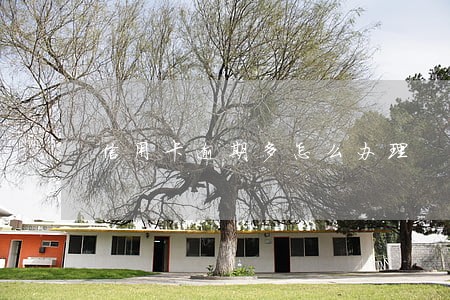 信用卡逾期多怎么办理 信用卡逾期多怎么办理